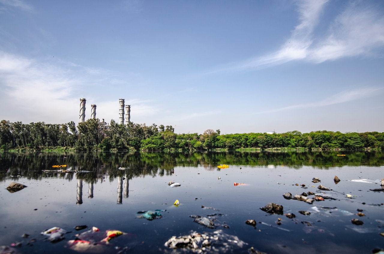 Remnants of the American Waste