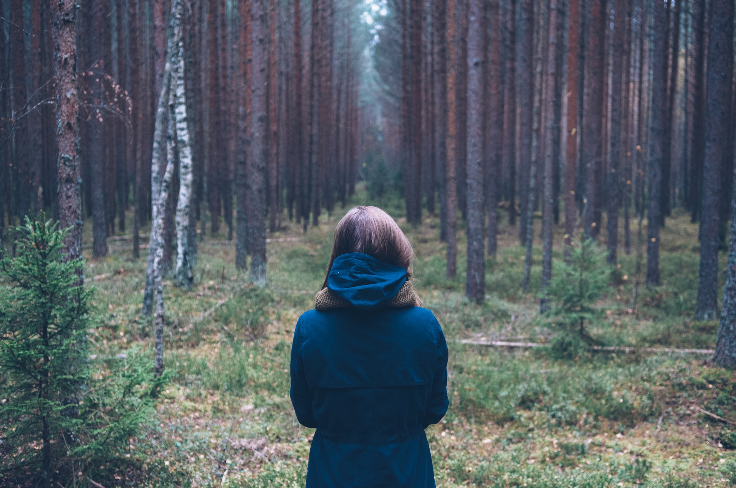 Forest Bathing