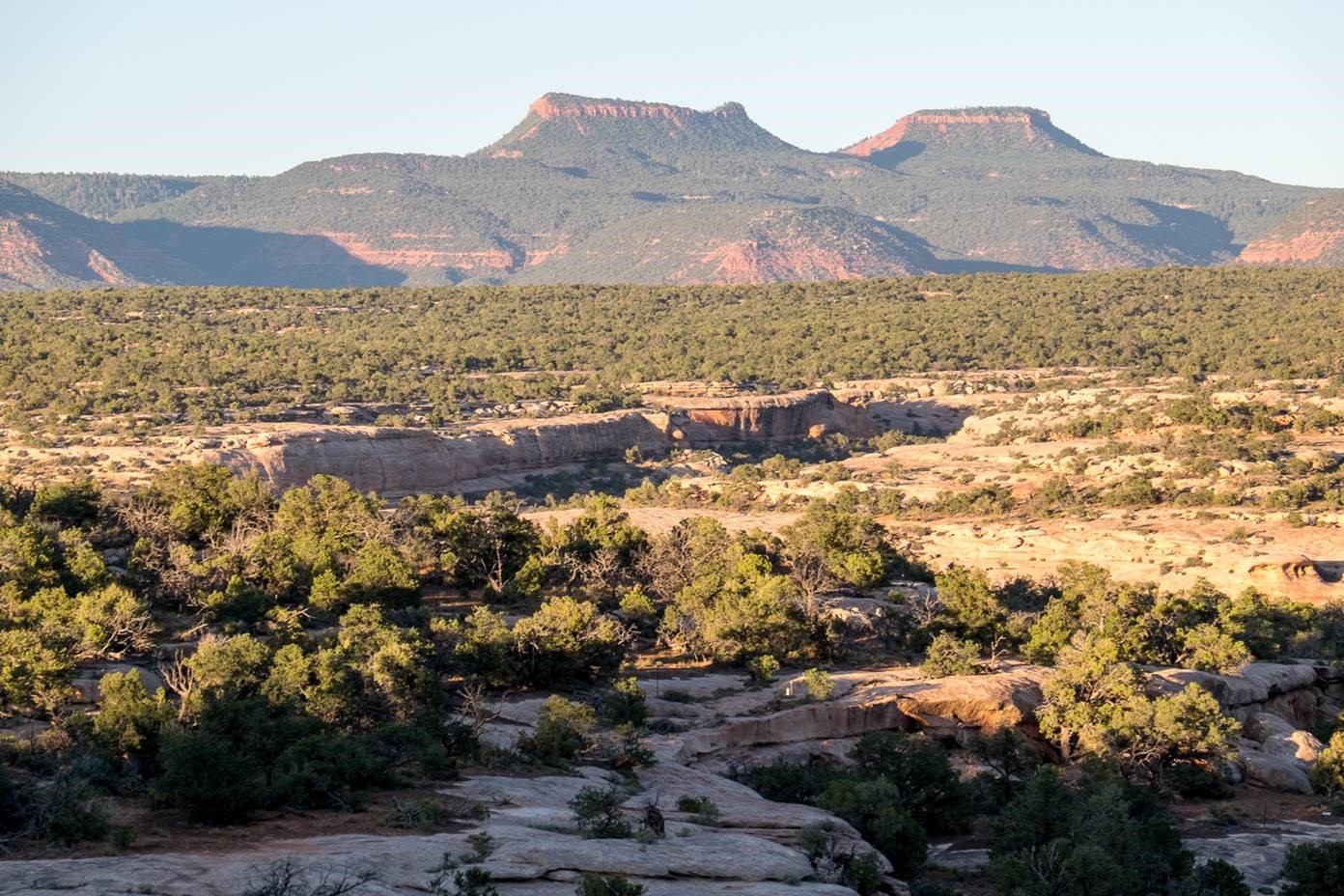 Bears Ears Must Be Protected: MESA OpEd